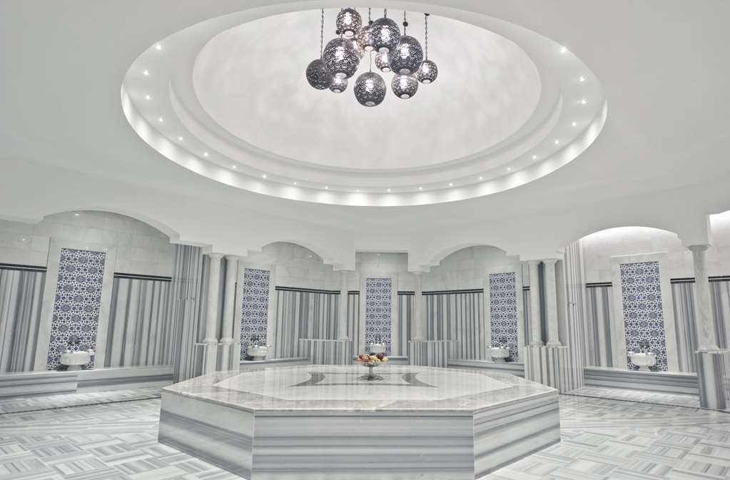 Alila Deluxe Thermal Hotel & Spa Afyonkarahisar Facilités photo